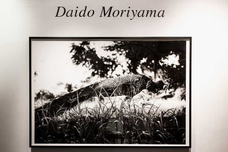 A Look Inside the New Daidō Moriyama Exhibit in London