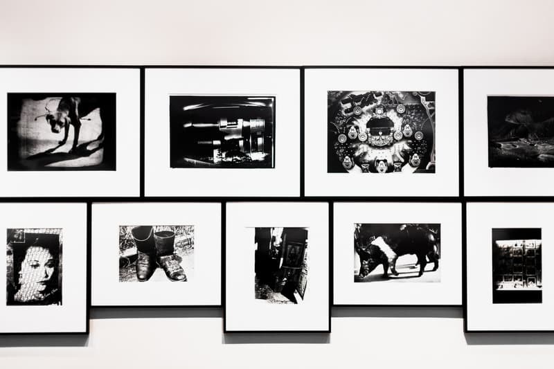 Daido Moriyama Michael Hoppen Gallery Photography Photographs Prints Art Artworks