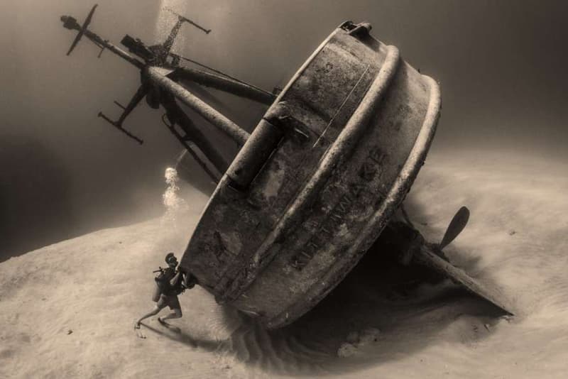 Underwater Photographer of the Year Photography Photos Competition Award Contest Cameras Art Technology