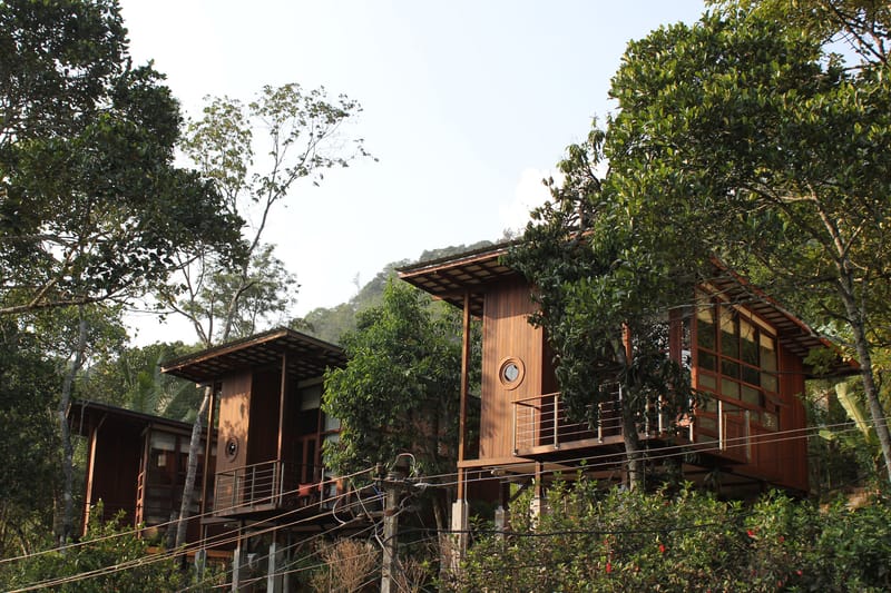 The Cardamom Club in India is a Jungle Retreat