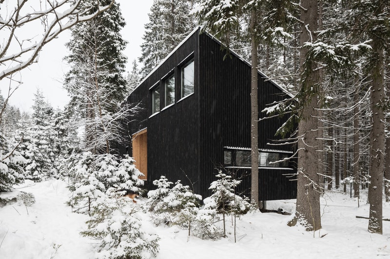 House in Roschino Ab Chvoya Vyborgsky District Russia Snow Forest Wood Interior Exterior Design Architecture Firm Cabin