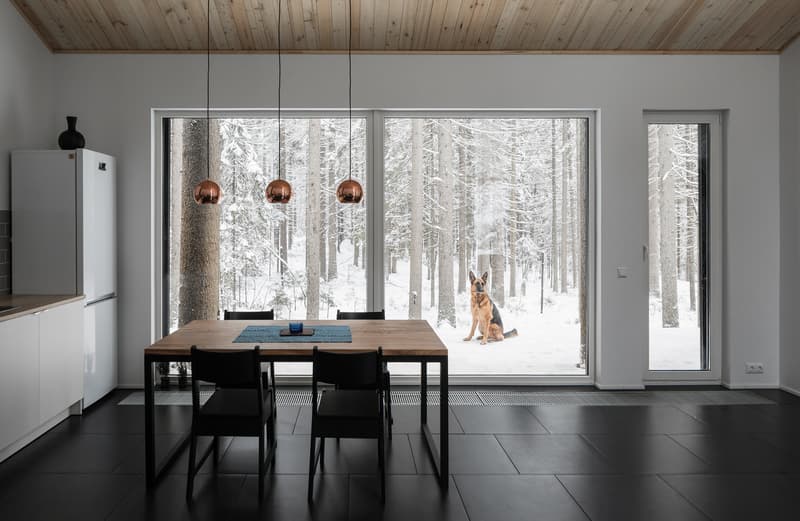 House in Roschino Ab Chvoya Vyborgsky District Russia Snow Forest Wood Interior Exterior Design Architecture Firm Cabin