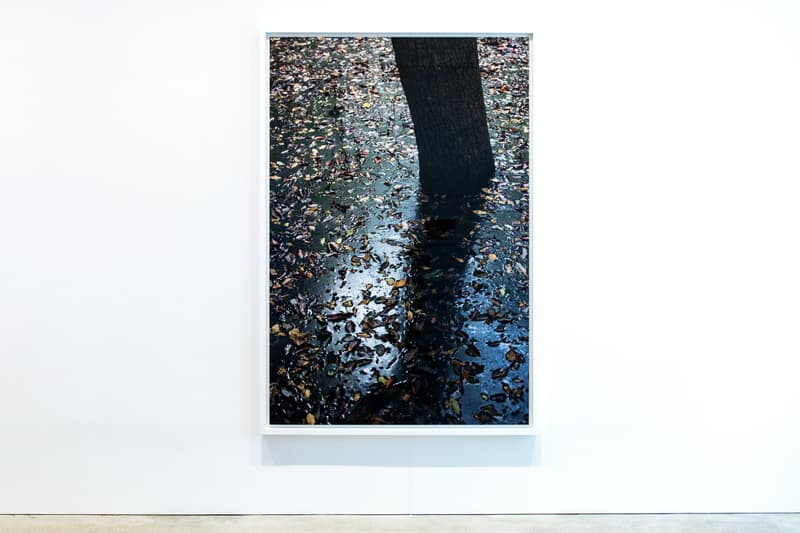 wolfgang tillmans david zwirner hong kong exhibit exhibition art artwork