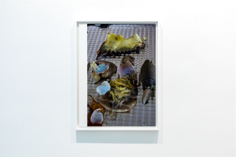 wolfgang tillmans david zwirner hong kong exhibit exhibition art artwork