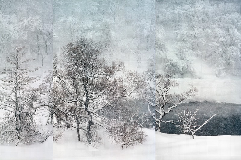 Sony World Photography Awards Winners winning competition 2018 international professional Alys Tomlinson ex voto Vaselin Atanasov Megan Johnson Samuel Bolduc Gianmaria Gava  Fredrik Lerneryd Florian Ruiz Mohd Samsul Mohd Said Luca Locatelli Roselena Ramistella Tom Oldham Balazs Gardi Edgar Martins