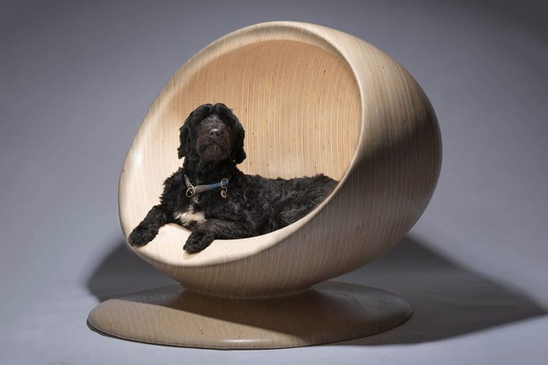 Dog Kennels Designed By Zaha Hadid & More Renowned Architecture Firms