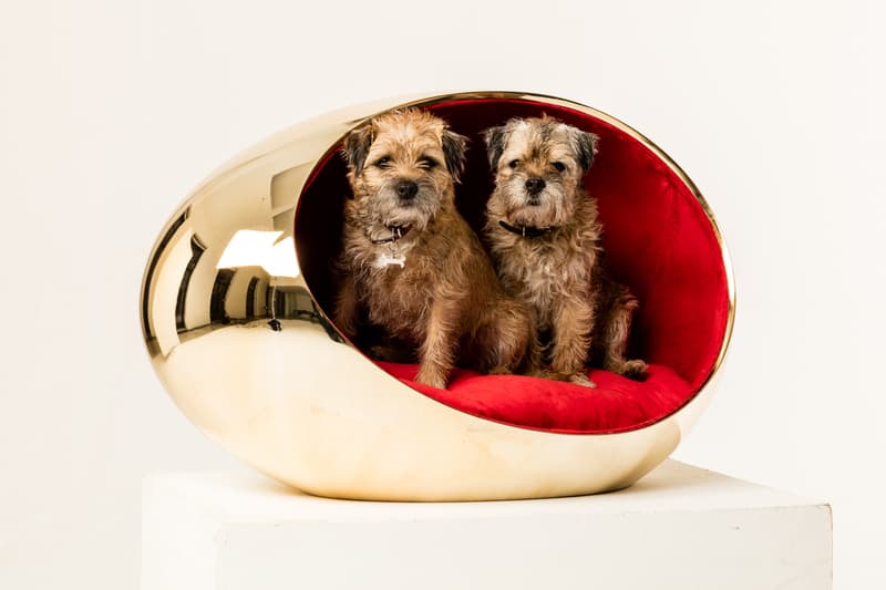 zaha hadid architects spark octopi dog kennels bowwow haus london pets dogs canines design
