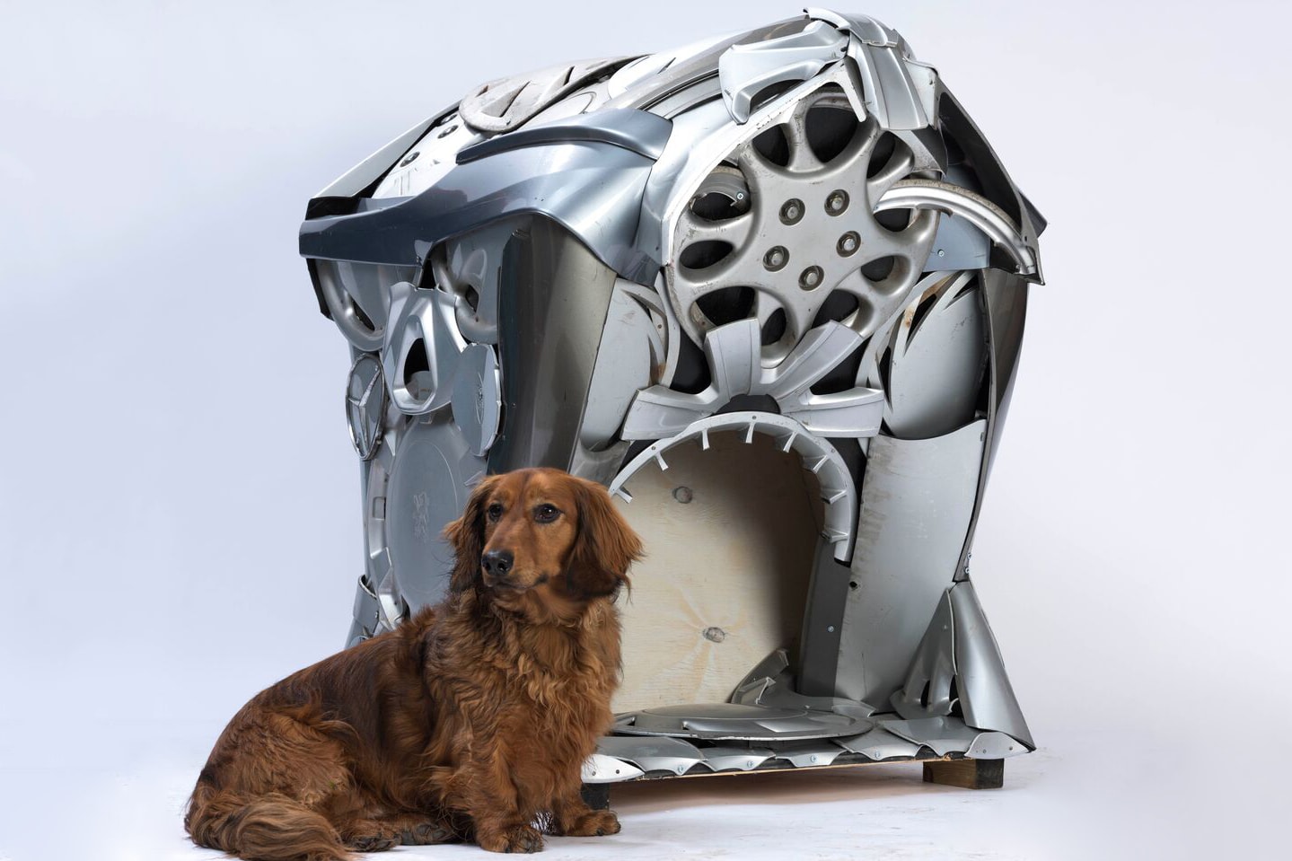 zaha hadid architects spark octopi dog kennels bowwow haus london pets dogs canines design