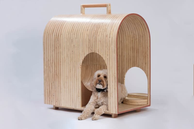 zaha hadid architects spark octopi dog kennels bowwow haus london pets dogs canines design