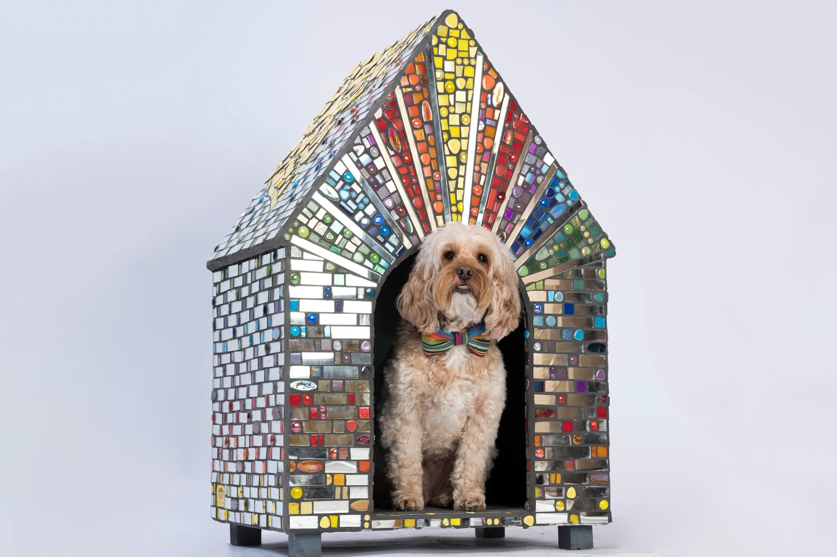 zaha hadid architects spark octopi dog kennels bowwow haus london pets dogs canines design