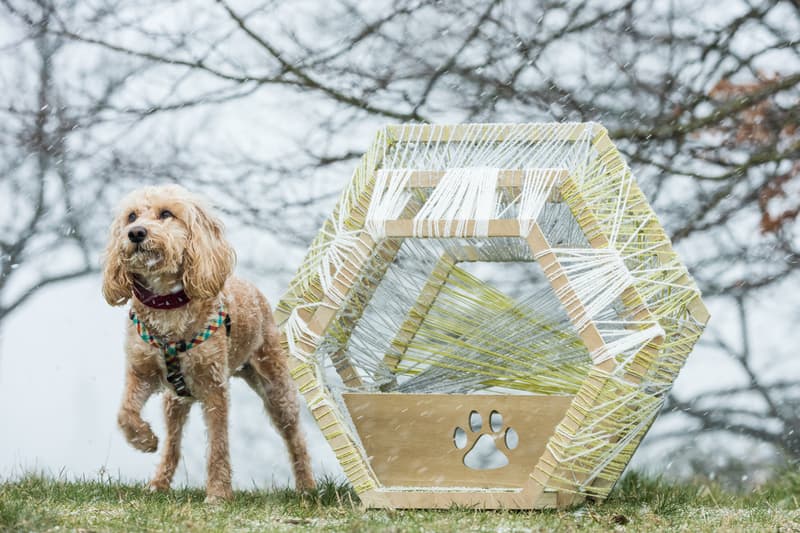 zaha hadid architects spark octopi dog kennels bowwow haus london pets dogs canines design