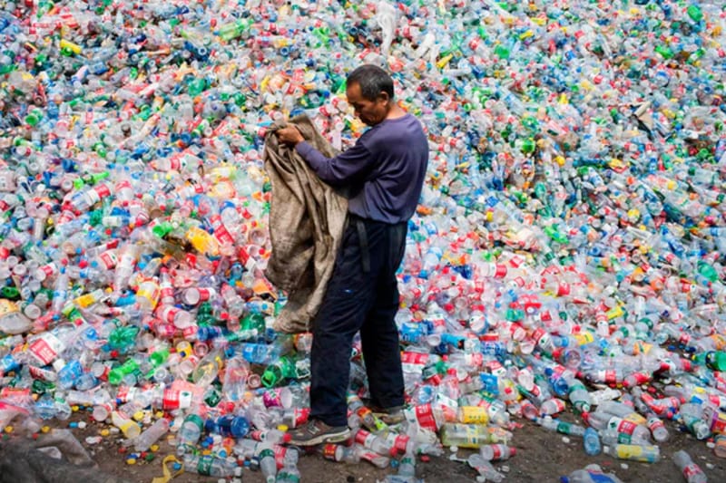 Is Bacteria the Answer to the Global Plastic Pollution Crisis?