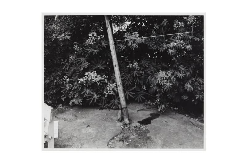 Nobuyoshi Araki Vintage Prints film photos Taka Ishii New York