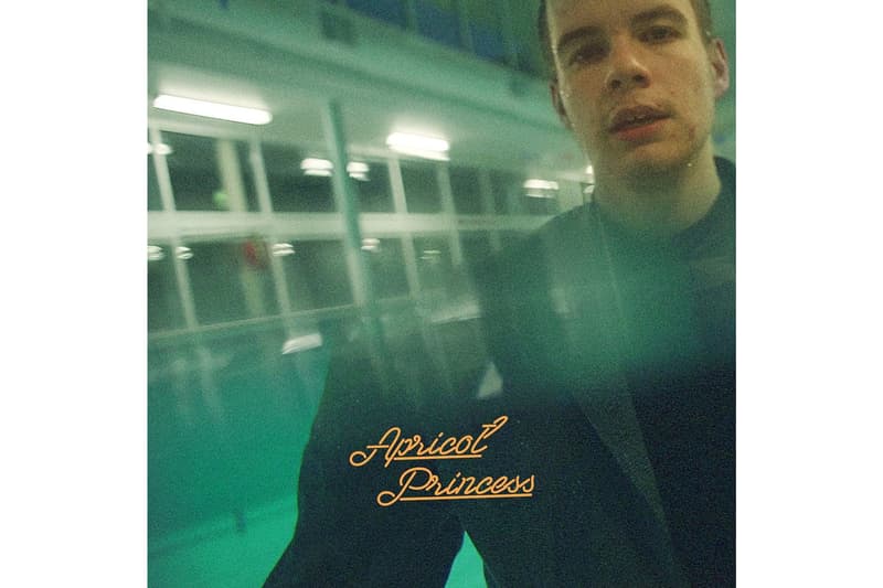 Rex Orange County Tyler The Creator 2017