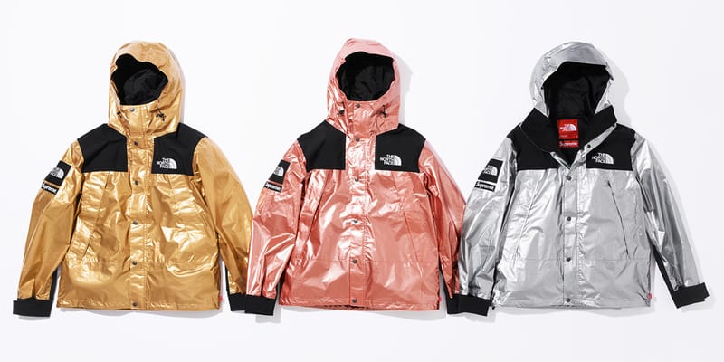 supreme north face silver jacket