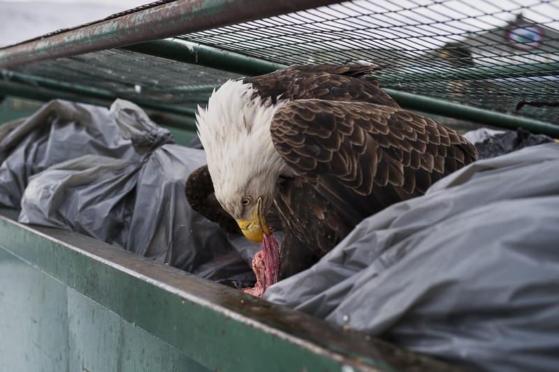 Winning Images From the World Press Photo 2018 Contest