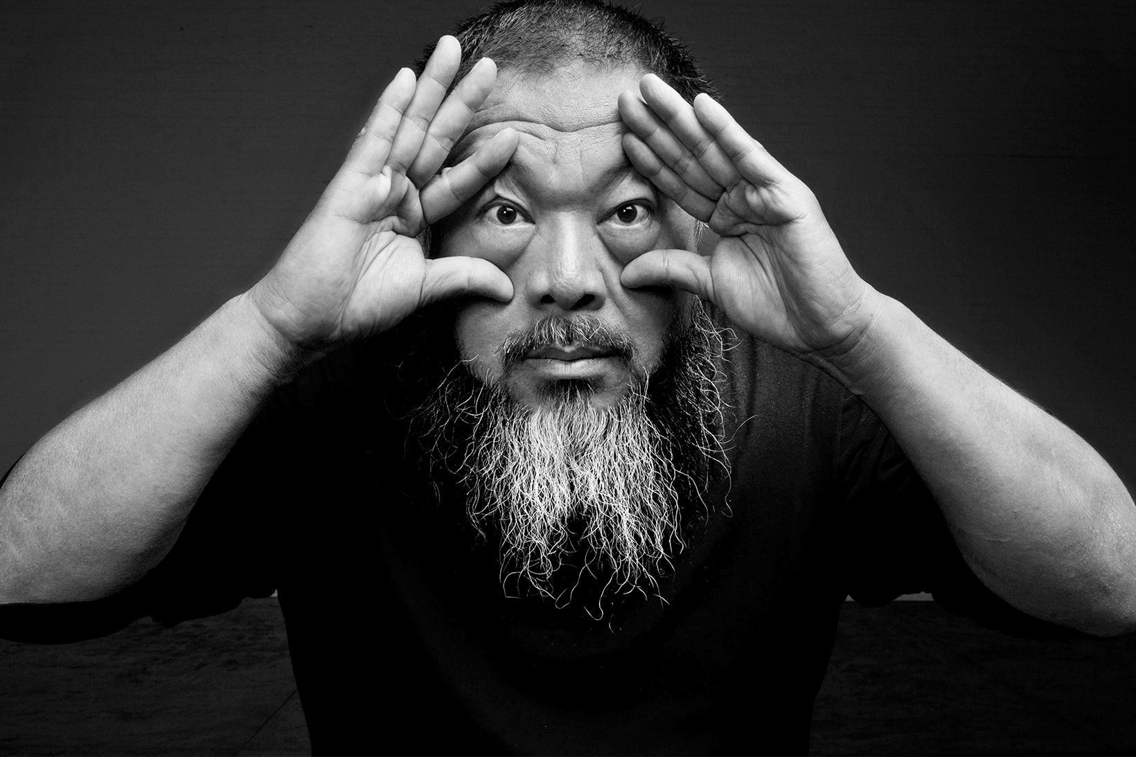 Ai Weiwei Three Fall Exhibitions Los Angeles California LA 2018