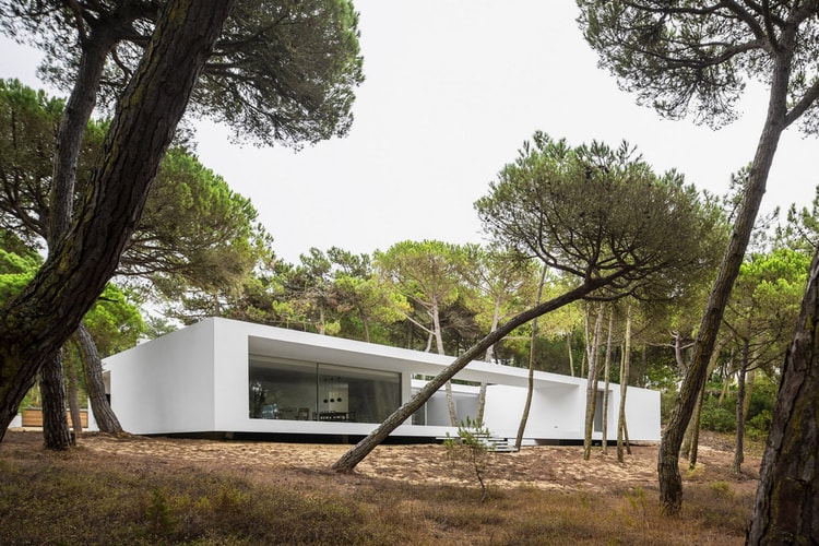 This Portuguese Home Is a Minimal Cube in the Middle of a Forest