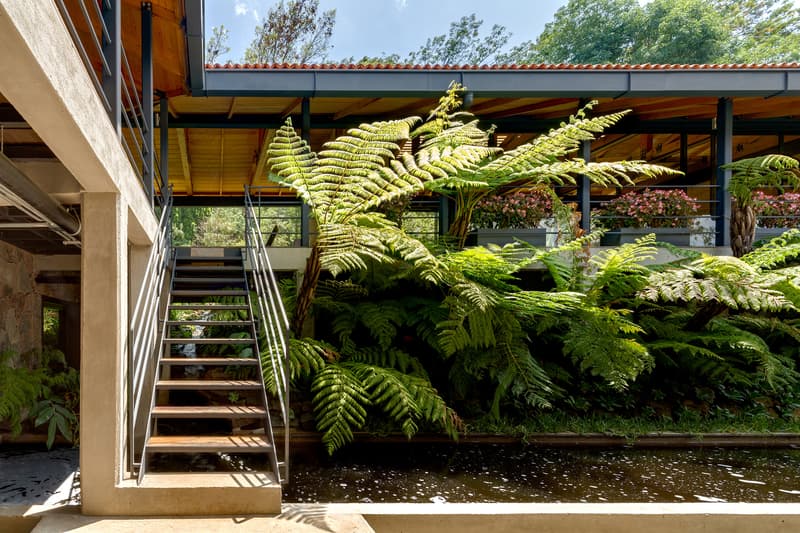 El Humedal Building Mexico TAAR Taller de Arquitectura de Alto Rendimiento Greenery Plants Trees Stone Brick Building