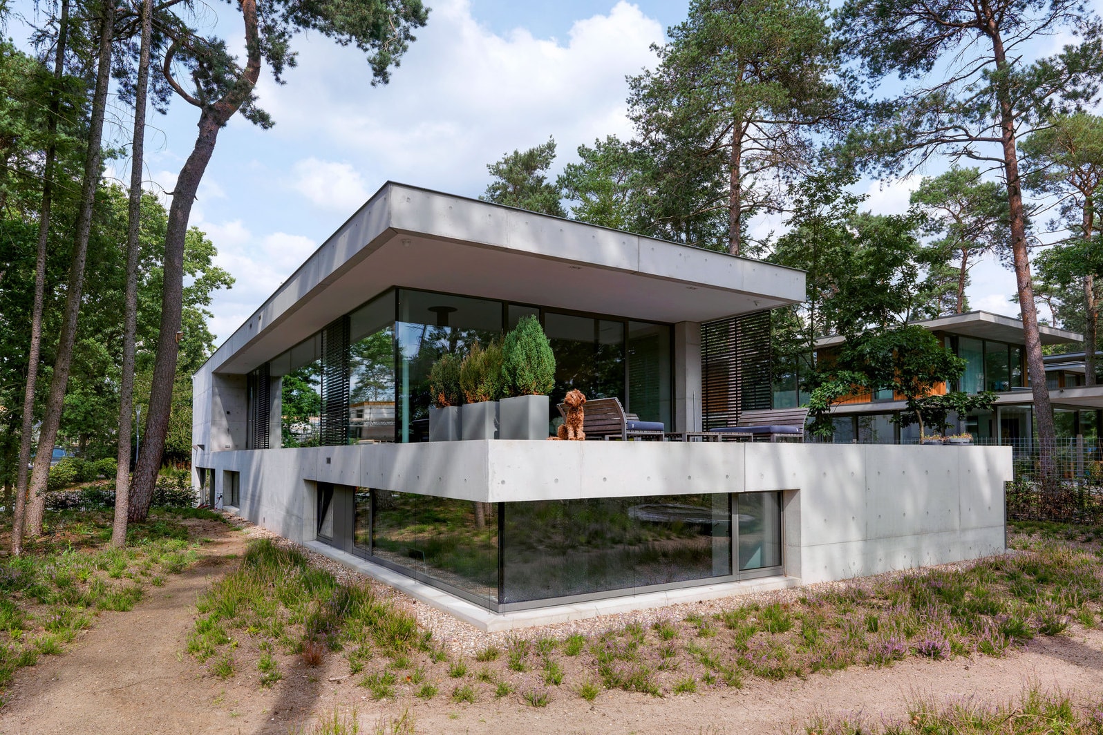 House Zeist Bedaux de Brouwer Architects The Netherlands Home House Houses Modern Interior Exterior Trees Woodland Forest Nature
