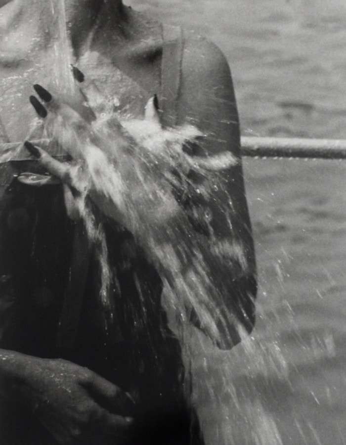 Jacques Henri Lartigue c est chic Exhibition Michael Hoppen Gallery may 31 july 28 2018 opening