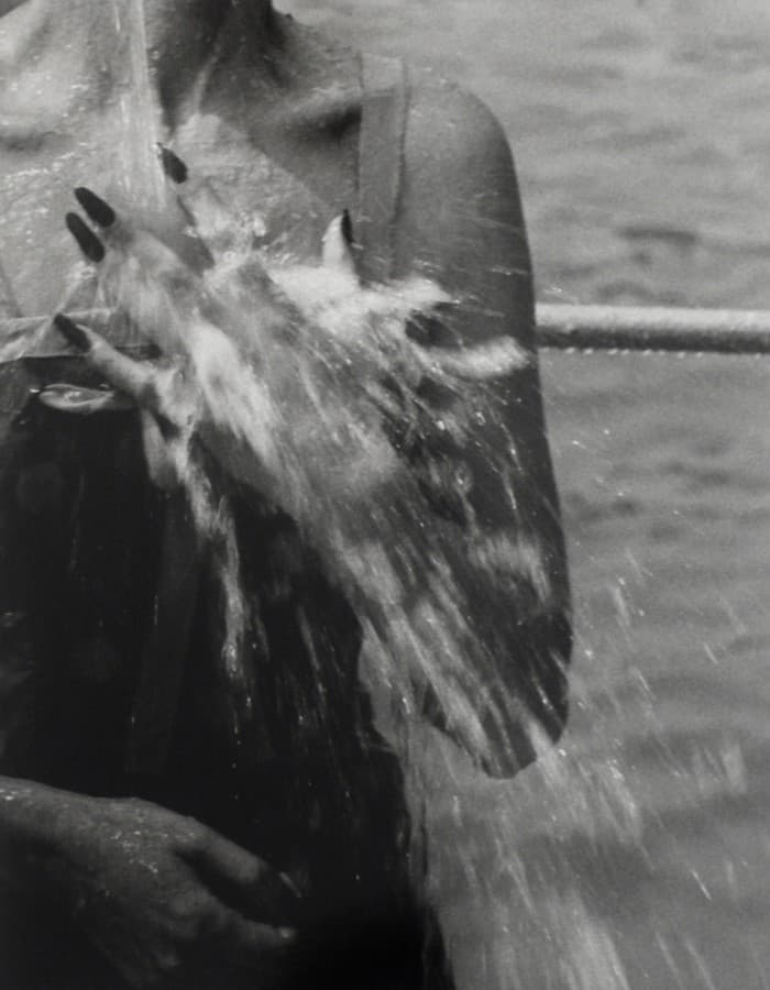 Jacques Henri Lartigue c est chic Exhibition Michael Hoppen Gallery may 31 july 28 2018 opening