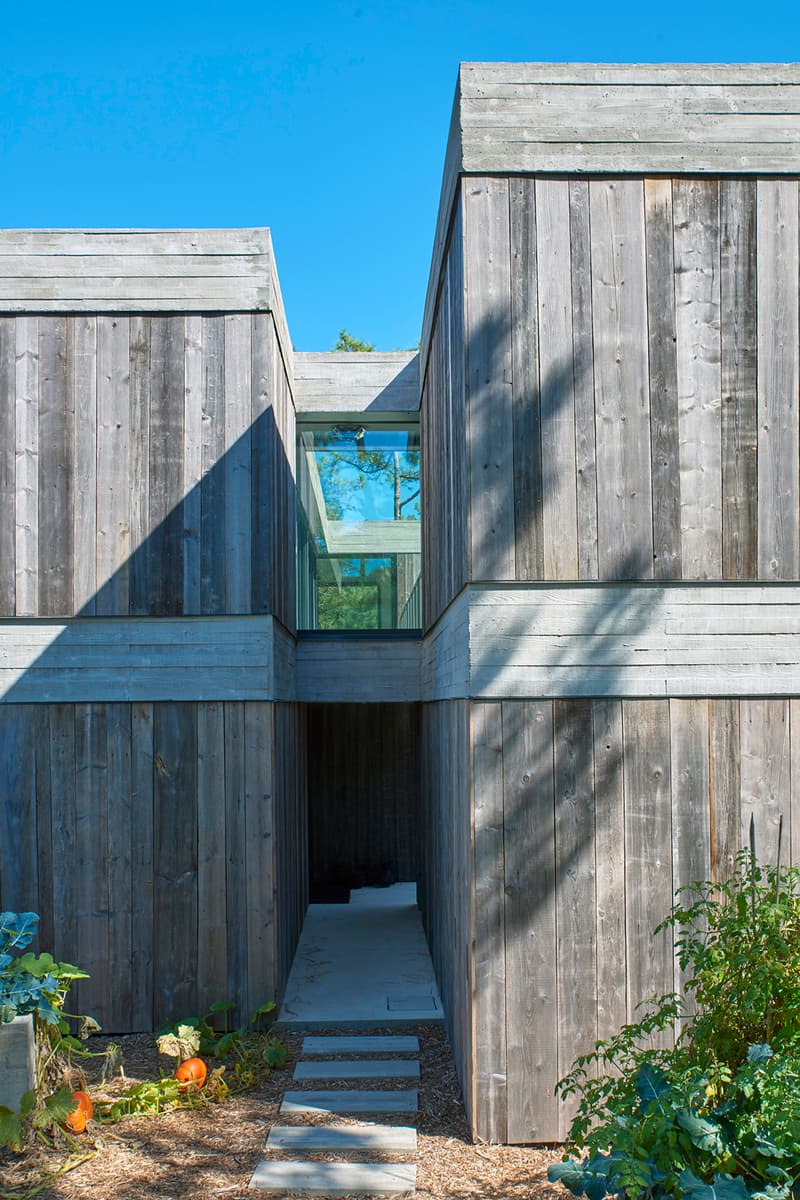 Villa Eiders Hugues Touton Edouard Touton Lège-Cap-Ferret France Houses Modern Interior Exterior Swimming Pool Trees Garden