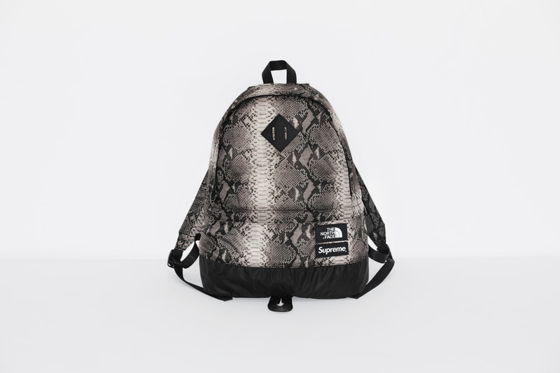 Supreme The North Face Snake Print Lightweight Day Pack Spring Collection