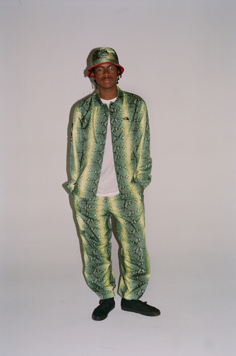 Supreme The North Face Snake Print lookbook