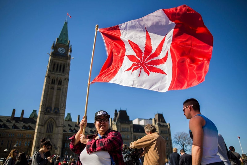 canada marijuana flag maple leaf cannabis recreational medical legalize bill law National Day Parliament Hill Ottawa April 20 2016