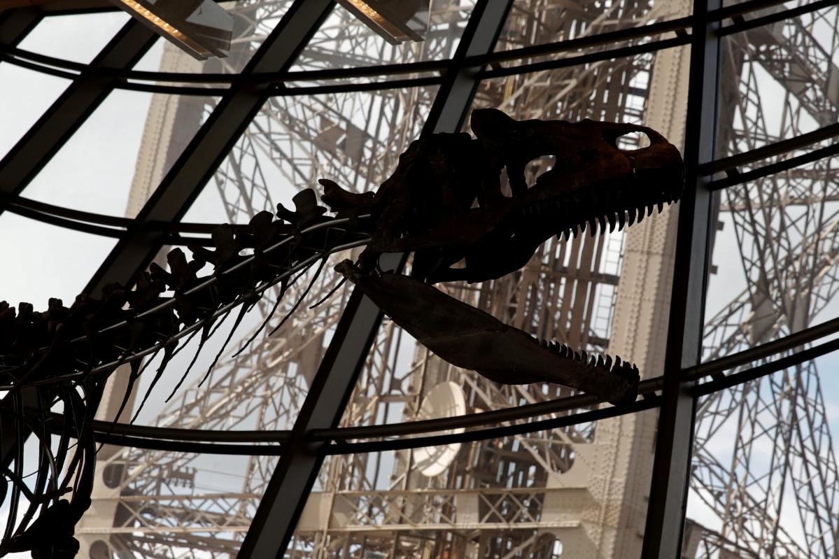 Mystery Dinosaur Skeleton Auction Paris france eiffel tower unknown new species