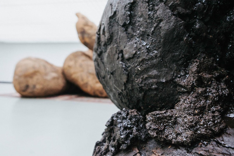 Gelatin Excrement Sculptures poop shit Rotterdam Netherlands Museum Boijmans van Beuningen