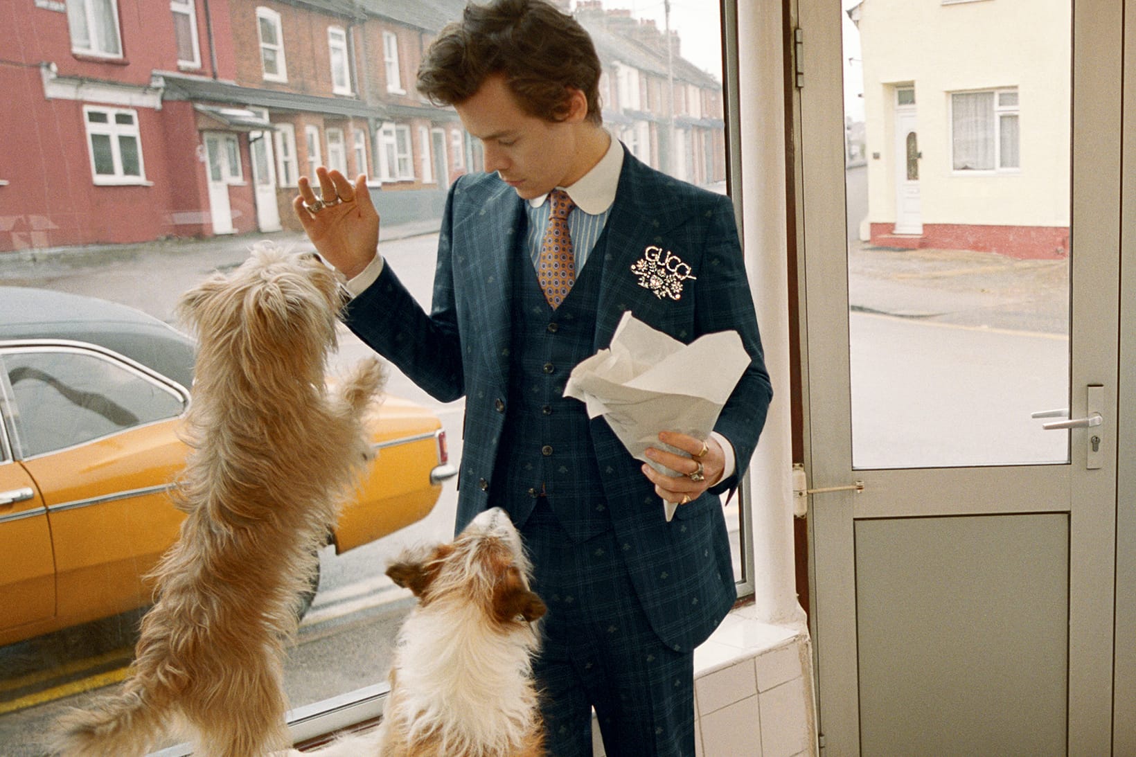 gucci campaign 2018 harry styles