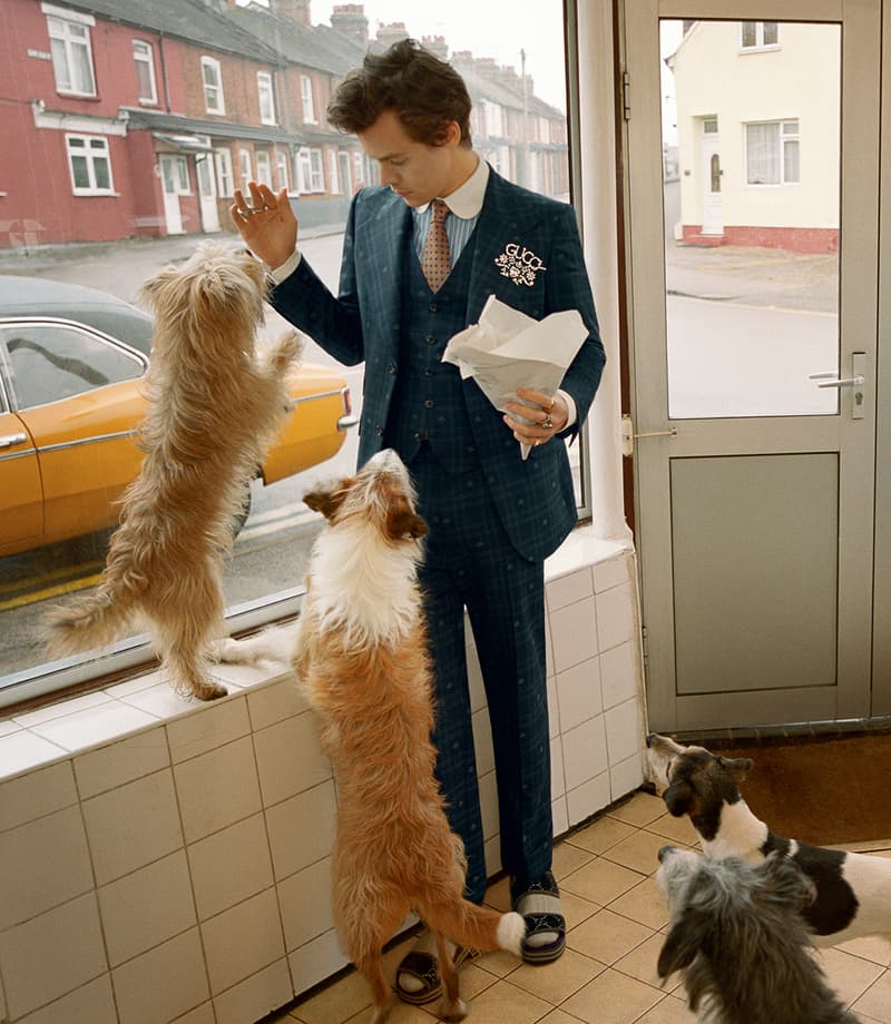 Harry Styles Gucci Fall/Winter 2018 Tailoring Campaign Glen Luchford Alessandro Michele Lookbook Imagery Details Suits