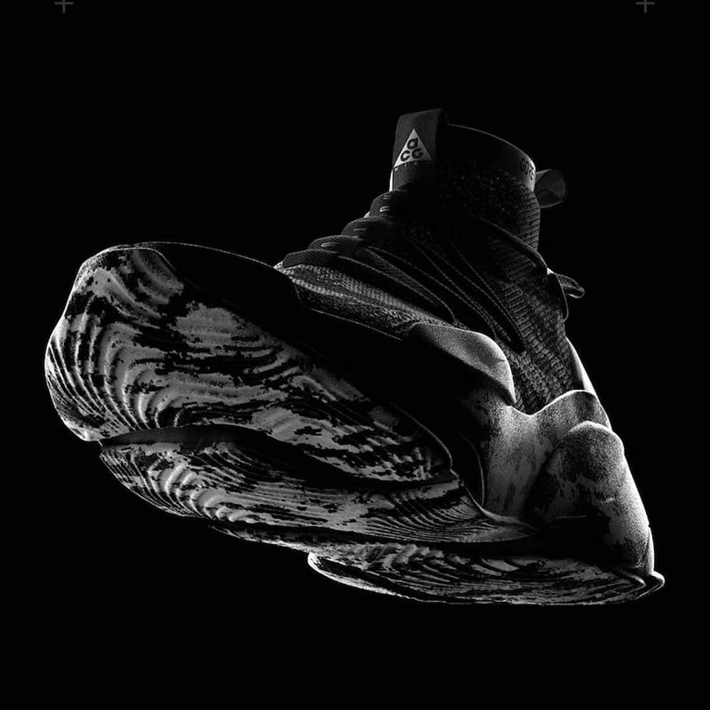 Janis Sne Nike ACG 3D Flyprint Concept