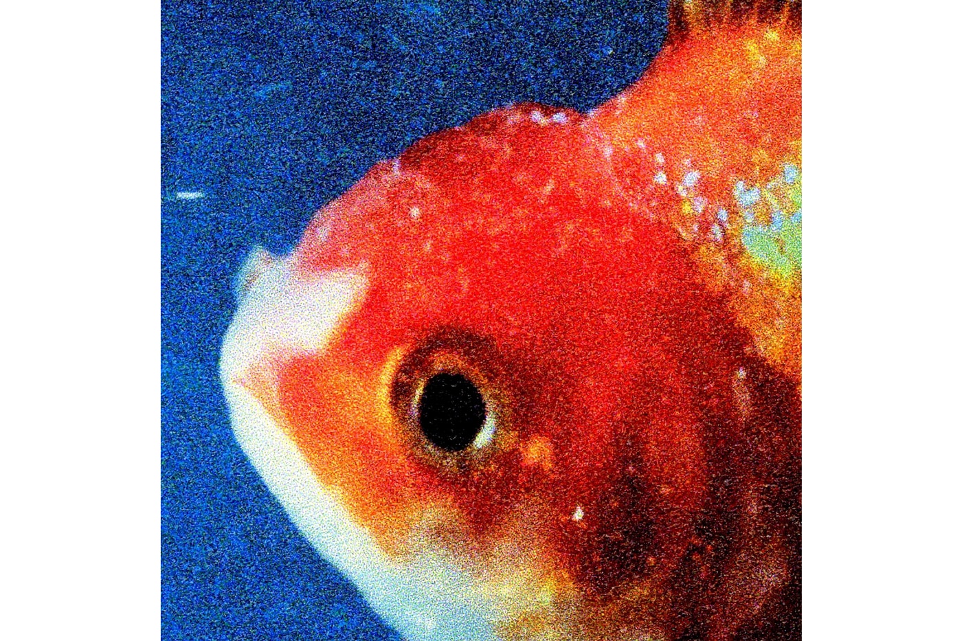 Stream Vince Staples' New Album 'Big Fish Theory