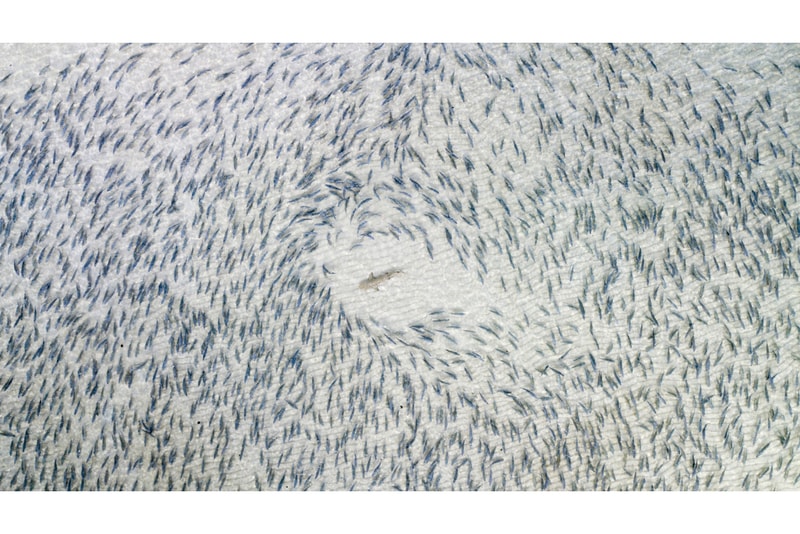 drones photography awards competition pictures images visuals