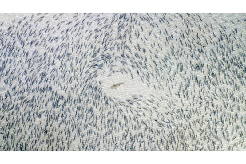 drones photography awards competition pictures images visuals