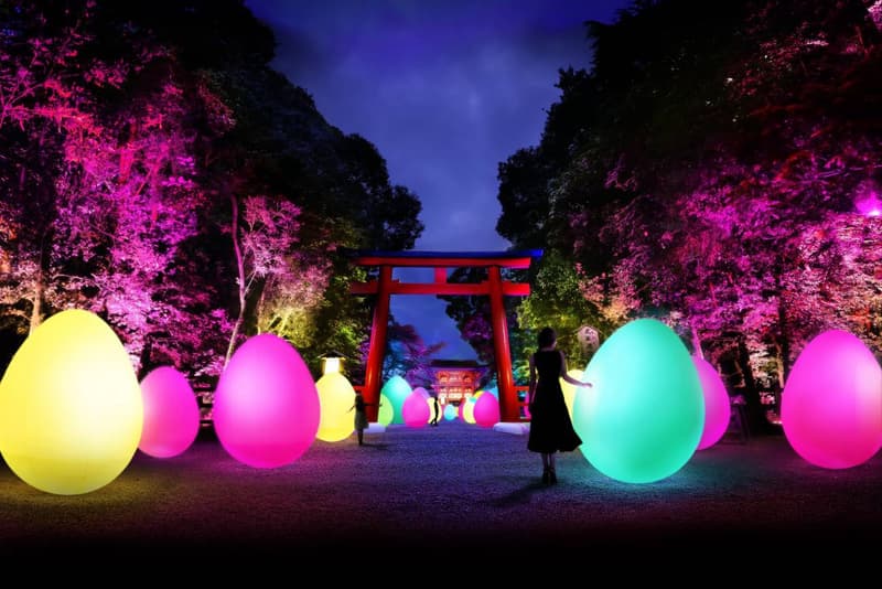 teamlab light festival tadasu no mori shimogamo shrine kyoto japan installations artworks