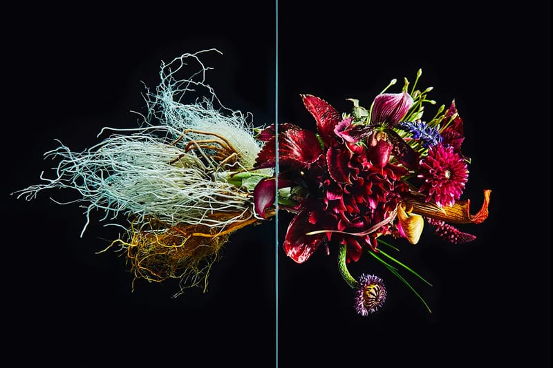 Azuma Makoto's "Undersurface Flowers" Reveals the Wild Side of Perfect Blossoms