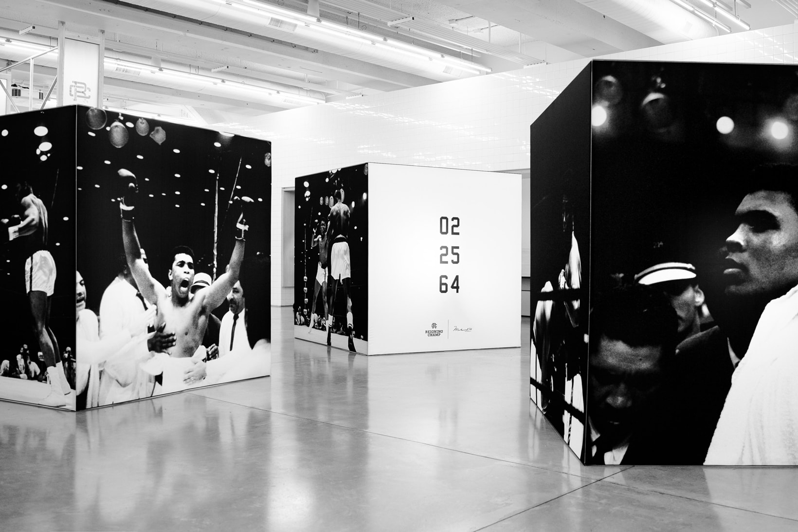 reigning champ muhammad ali la brea installation photography artworks