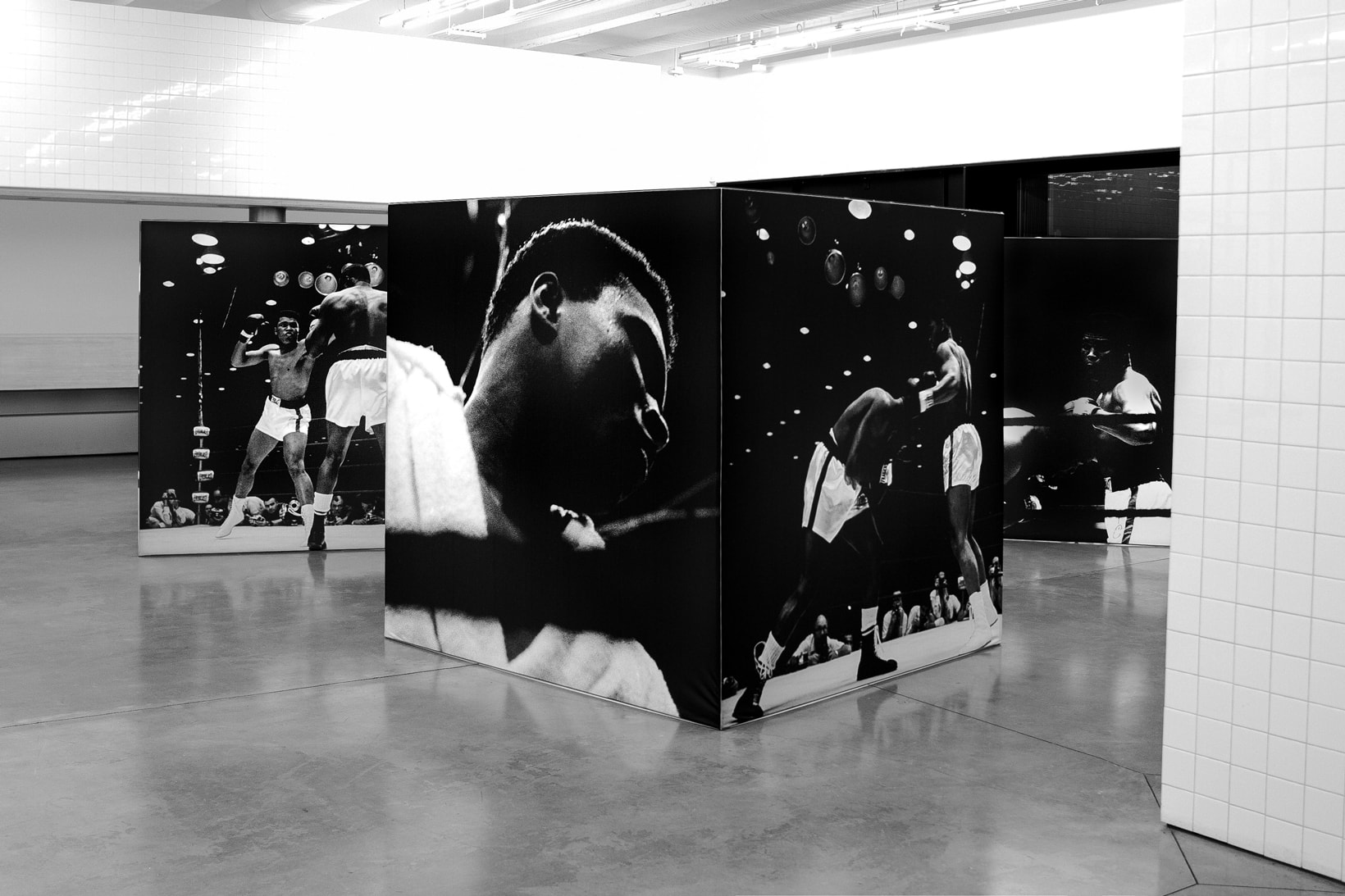 reigning champ muhammad ali la brea installation photography artworks