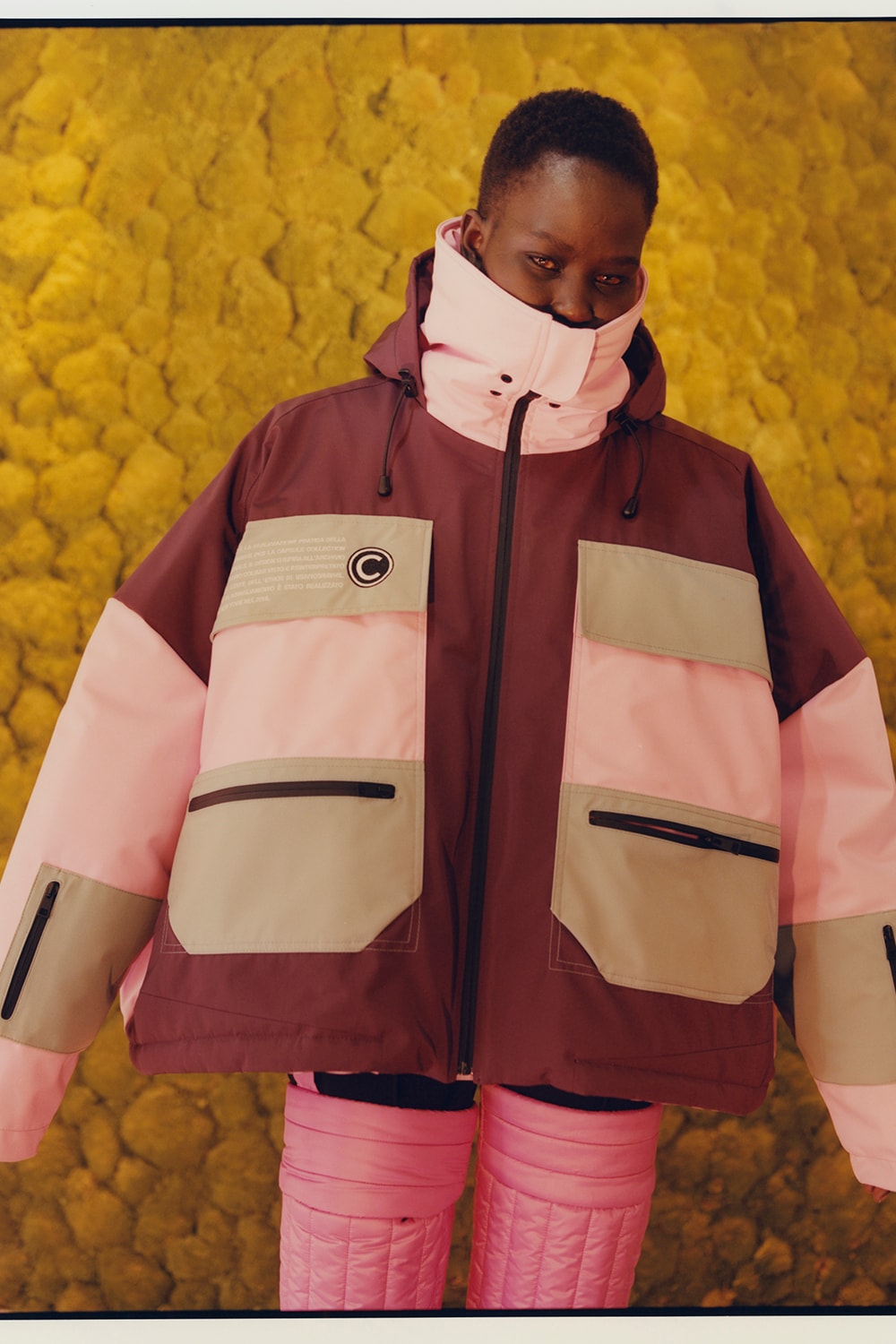 Shayne Oliver Colmar 2018 Collaboration Collection Details Fashion Clothing Cop Purchase Buy Collab Hood By Air Helmut Lang