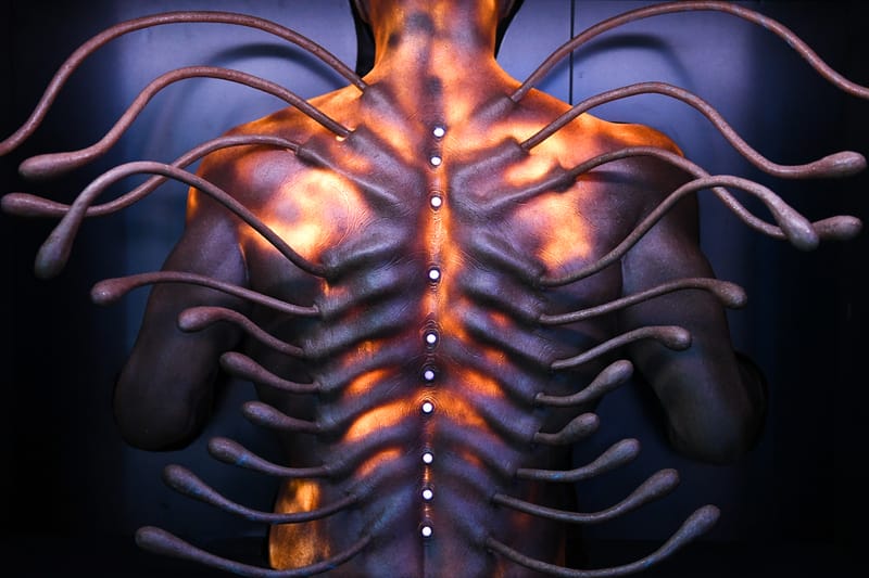 Simon Huck's "A. Human" Exhibition Spotlights Otherworldly Body Modifications