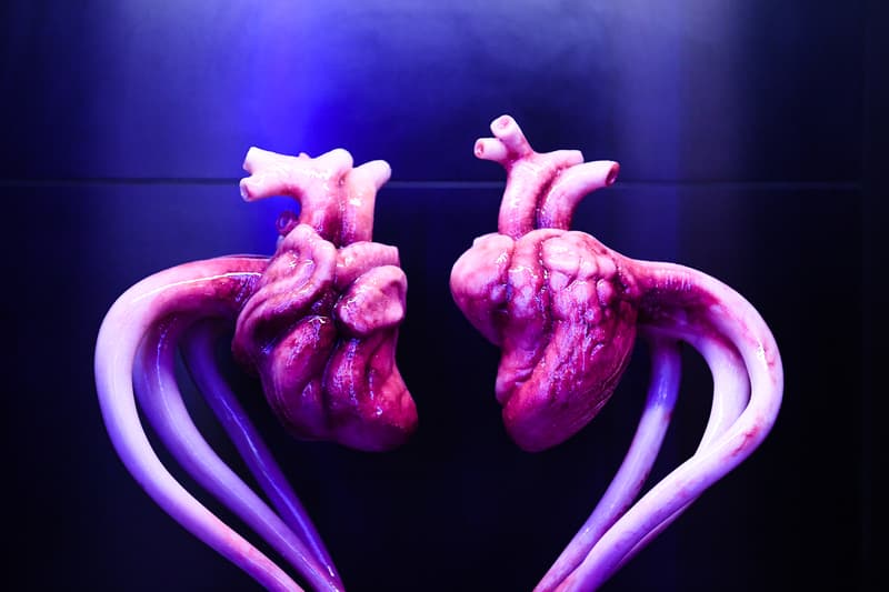 simon huck a human exhibition sos artworks body modifications installations
