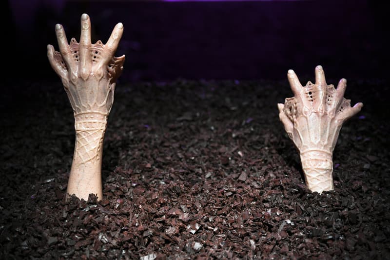 simon huck a human exhibition sos artworks body modifications installations