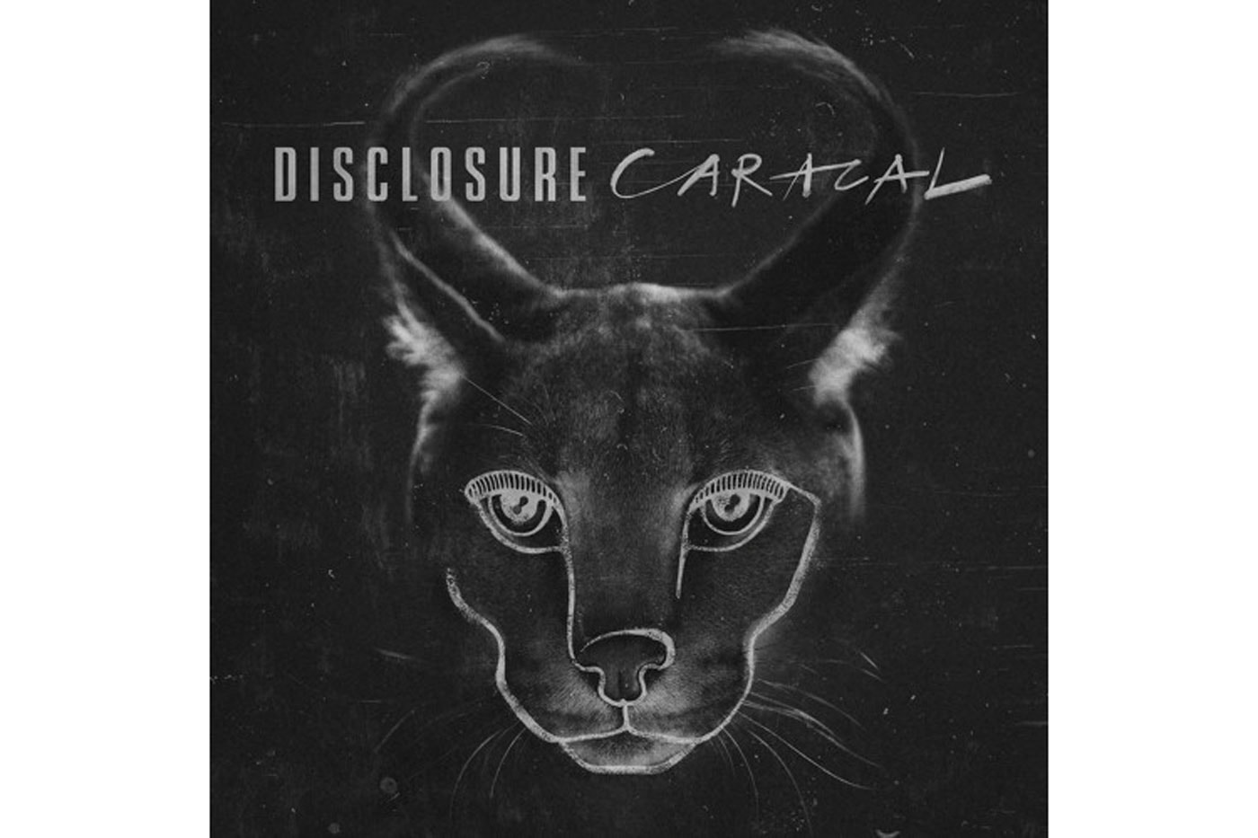 Disclosure - Echoes