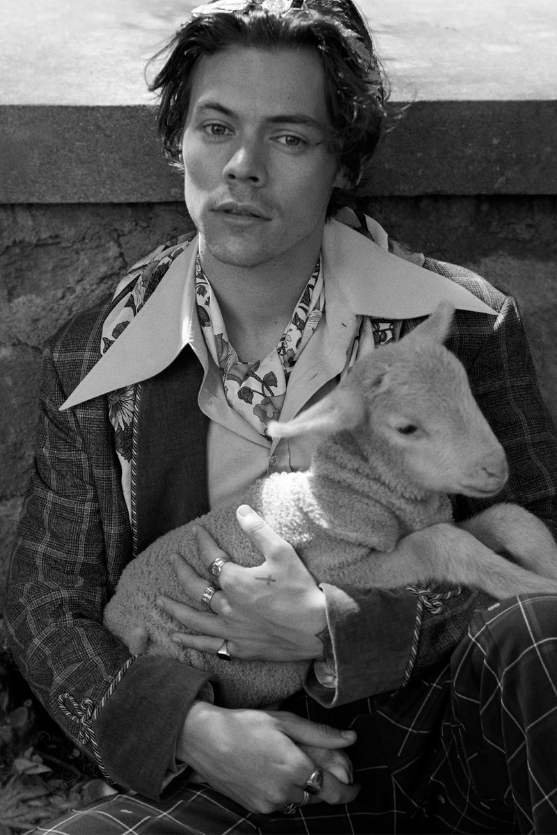 Gucci Cruise Harry Styles 2019 Mens Tailoring Campaign Fashion Clothing Garments High End Cop Purchase Buy Available Soon Glen Luchford Italy Villa Lante pig goat sheep