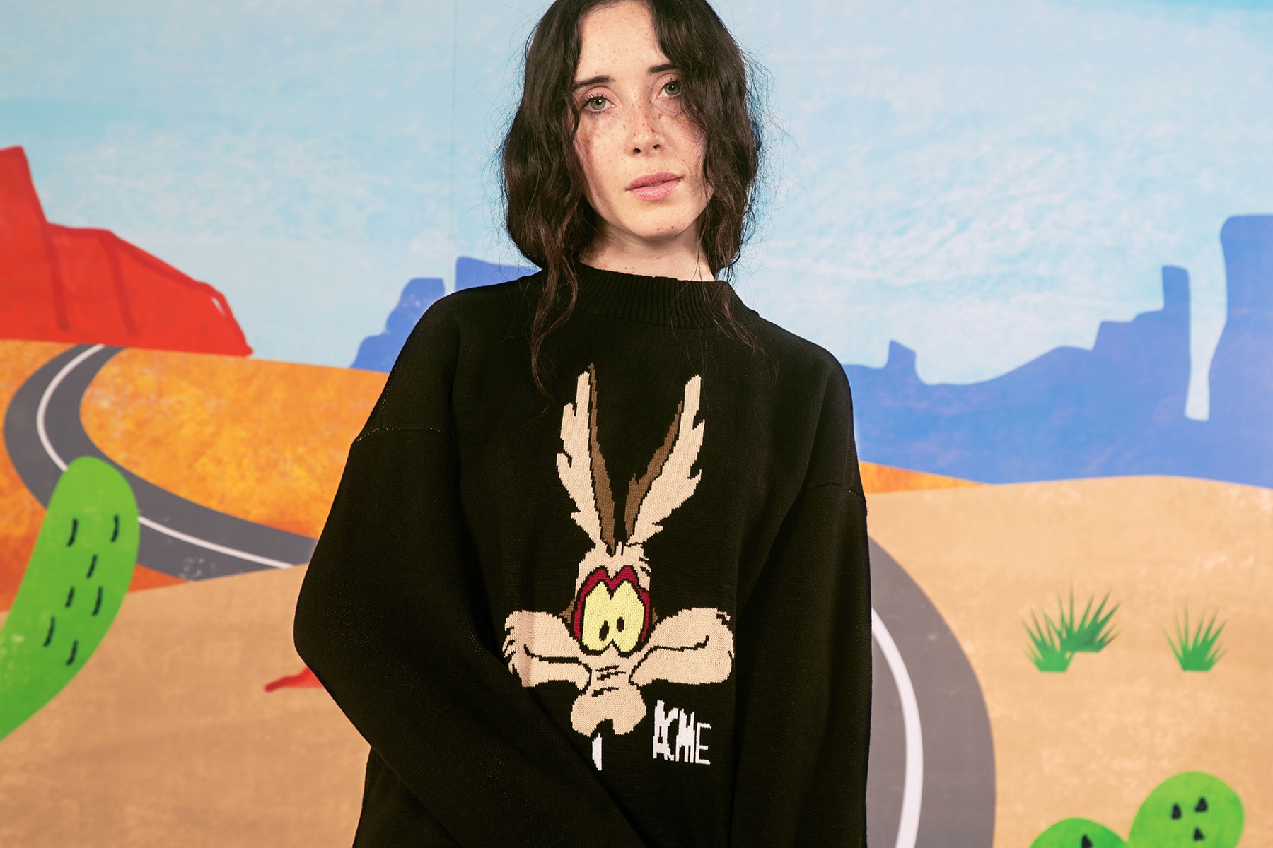 the hundreds looney tunes acme Wile E. Coyote Road Runner collaboration collection warner bros sweater military camouflage army m51 jacket print bomber