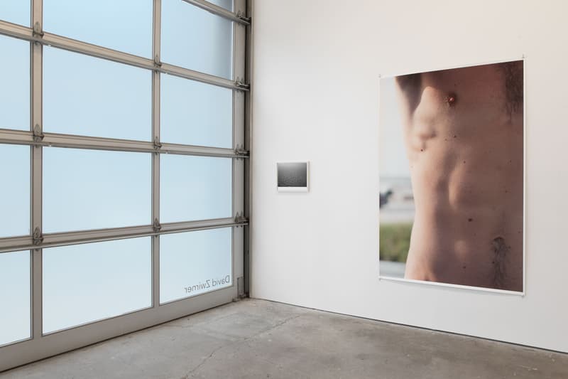 wolfgang david zwirner exhibition gallery show art artwork photography photographs visuals portraits